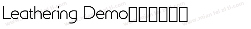 Leathering Demo字体转换